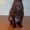 Котята породы донской сфинкс - Изображение #2, Объявление #28019