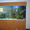 Посейдон-весь подводный мир Саратова - Изображение #2, Объявление #67359