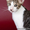 Продаются кудрявые котята породы корниш-рекс - Изображение #4, Объявление #121267