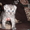 Котята шотландской вислоухой (скотиш-фолды) - Изображение #3, Объявление #126024