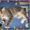 Курильский бобтейл - кошка с заячьим хвостом - Изображение #2, Объявление #194845