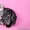 Британские  котята серебристых окрасов - Изображение #3, Объявление #206865