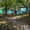 Продается Зеленый остров ( Таинственный, бывшей Плёс) в Затоне - Изображение #2, Объявление #323284