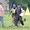 Дрессировка собак в Саратове. Мотивированное воспитание щенков - Изображение #5, Объявление #490655