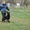 Дрессировка собак в Саратове. Мотивированное воспитание щенков - Изображение #1, Объявление #490655