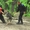 Дрессировка собак в Саратове. Мотивированное воспитание щенков - Изображение #2, Объявление #490655