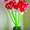 Оригинальные подарки из воздушных шаров на день Святого Валентина - Изображение #1, Объявление #520320