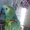 Попугай синелобый амазон ручной - Изображение #2, Объявление #571779