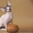 Котик Канадского сфинкса - Изображение #2, Объявление #592679