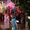 живая музыка дуэт тамада видеофото - Изображение #3, Объявление #722690