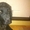 русский черный терьер щенок 4-х месяцев - Изображение #3, Объявление #806271