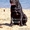 Продаются супер щенки Кане-Корсо - Изображение #5, Объявление #536366