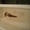 Реставрация Эмалировка ванны в Саратове жидким акрилом - Изображение #5, Объявление #1220254