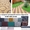 Укладка тротуарной плитку и брусчатку в Саратове и Энгельсе - Изображение #1, Объявление #1236882