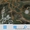 Охотничьи карты Саратовской области - Изображение #5, Объявление #1474520