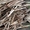 дрова сосновые обрезки т 464221 - Изображение #1, Объявление #1518346