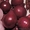 Лук репчатый сорта Ред Барон фиолетовый - Изображение #1, Объявление #1638436