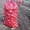 Лук репчатый сорт "Медуза F1" - Изображение #2, Объявление #1663565