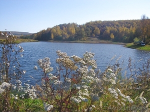 Продается пруд 77 км от Саратова S пруда 6.4 га + земля 9 (сад) 60 га - Изображение #1, Объявление #308389
