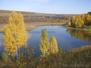Продается пруд 77 км от Саратова S пруда 6.4 га + земля 9 (сад) 60 га - Изображение #3, Объявление #308389