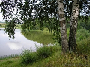Продается пруд 77 км от Саратова S пруда 6.4 га + земля 9 (сад) 60 га - Изображение #2, Объявление #308389