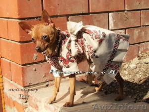 Одежда для собак «Модный пес и Я» (ателье, пошив на заказ) - Изображение #2, Объявление #364326
