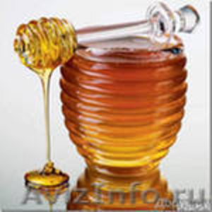 продаётся мёд лесной оптом - Изображение #1, Объявление #454816