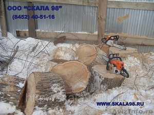 Спил, кронирование, обрезка деревьев и веток в Саратове  - Изображение #1, Объявление #741905