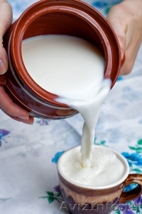 Фермерские молочные продукты (ЭКОПРОДУКТЫ) - Изображение #4, Объявление #796784