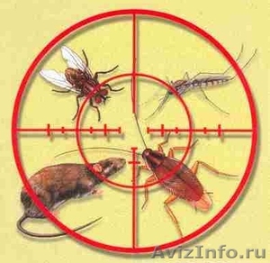 Уничтожение насекомых и дезинфекция помещений - Изображение #1, Объявление #1155917
