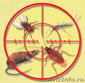 Комаров и грызунов нет - Изображение #1, Объявление #1266510