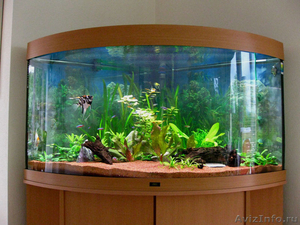 Профессиональное обслуживание аквариумов и их комплектующих. Установка  - Изображение #2, Объявление #1554284
