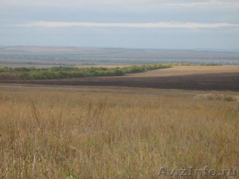 Купить Землю Сельхозназначения В Липецкой